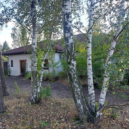 Apartment Gnubbel Am Wald Weisswasser Exterior photo